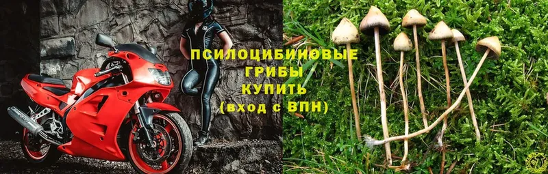 hydra рабочий сайт  Калининск  Псилоцибиновые грибы MAGIC MUSHROOMS 